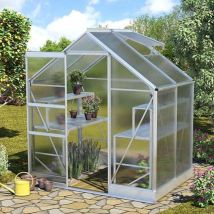 Serre Vitavia Apollo 2500-6200 Argent Anodisé, 4 Mm Épaisseur De Paroi 195 X 137 Cm