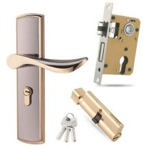 Tigrezy - Serrure de Poignée de Porte Serrure à Levier en Alliage de Zinc, Ensemble de Poignée de Porte Moderne Antivol avec Clés pour Portes en
