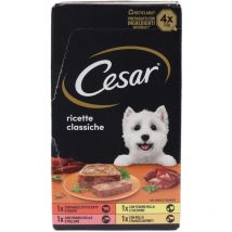 Set 6 Confezion Cesar Vaschette Multipack Ricette Classiche 4x150 Gr