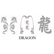 Adnauto - Set Adhesifs -element dragon- Gris - promo adn - Car Deco