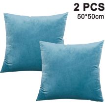 Set Aus Zwei Weichen Und Dekorativen Quadratischen Samtkissenbezügen, Geeignet Für Sofas, Betten, Stühle Und Andere Einrichtungsgegenstände.