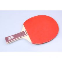 Set de 2 raquettes de Ping Pong et 3 balles avec étui 2 Regail Hobbytech