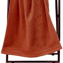 Set de 2 serviettes de toilette en éponge Brique 50x100 cm