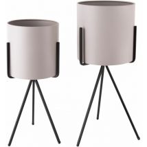 Duo de Cache-pot Pedestal xl