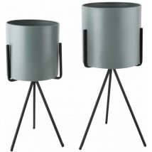 Duo de Cache-pot Pedestal XL