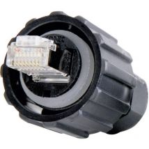 Set de connecteurs RJ45 Conec 17-100474 Contenu: 1 pc(s)
