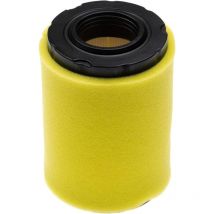 Set de filtres remplacement pour Briggs & Stratton 590825, 591334, 594201, 796031 pour tracteur tondeuse - 1x préfiltre, 1x filtre à air