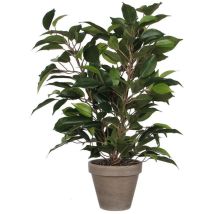 Ficus Natasja – Plante verte artificielle – Hauteur 40 cm – Largeur 30 cm – Pot 11,5 cm – Mica Decorations