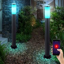 Set di 2 lampade da terra in acciaio inossidabile dimmerabili app controllo vocale luce da giardino per esterni in un set che include lampadine a led