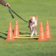 Set d'obstacles pour chien - 4 cône - agility Trixie