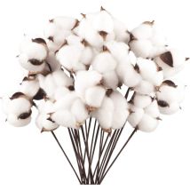 Set Mit 20 Getrockneten Baumwollblumen, Künstlichen Stielen, Dekorativen Zweigen Für Balkon, Wohnung, Tisch, Blumenarrangement
