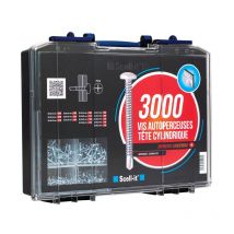 Set mit 3000 selbstbohrenden Schrauben tcc scellit - Kreuzschlitz - COF003-TCC