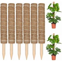 Ontway - Tigrezy Set mit 6 Kletterpflanzenstäben, Kokosnussstab 30 cm, Kokosnussstab-Pflanzenstab zur Verlängerung von Kletterpflanzen mit
