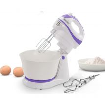 Set mixeur 2 en 1 Mixeur Batteur avec bol 300W Royalty Line RLHMS250T3