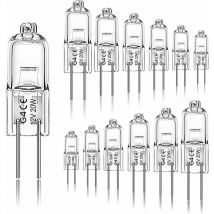 Rapanda - shining house Pack of 12 Halogen Bulbs G4 20W 12V 2800K 2 Pins for Hood, Kitchen, Living Room, Bedroom, hanbing