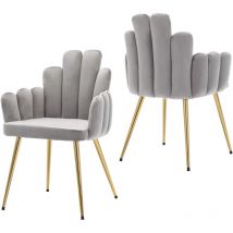 Dining Chairs 2Pcs in Velvet Kitchen Chairs with Special Designed Backrest for Living Room Restaurant Cafe, Gray, Wahson