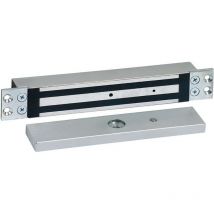 Sewosy - EF30035ENCCTCCA acero inoxidable Ventosa electromagnética de empotrar 300kg 12/24V