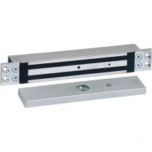 Sewosy - EF30035ENCCTCCA Edelstahl Einbau-Elektromagnet-Saugnapf 300 kg 12/24 v