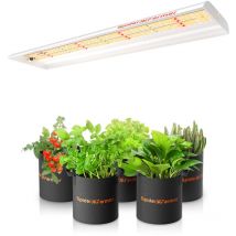 Spider Farmer SF300 33W LED Luce di Crescita per Piante e Piante di Fiori