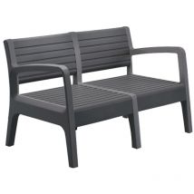 Miami Bank 2 Graphite Plazas - Rose