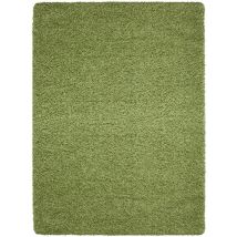 Life - Tapis Shaggy Uni Poils Longs Tapis Salon Chambre Couloir (Vert - 100x200cm)