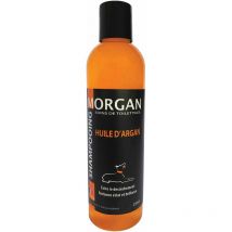 Shampoing à l'huile d'Argan Morgan 250ml