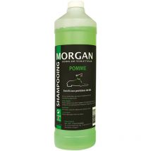 Shampoing protéiné Pomme Morgan 1L