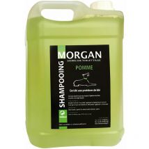 Shampoing protéiné Pomme Morgan 5 litres