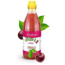 Champu cereza para perros fruit of the groomer champu champu cereza 500 ml offre exclusive