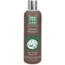 Shampooing cheveux bruns 300ML offre exclusive