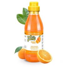 Iv San Bernard - champu naranja para perros fruit of the groomer champu champu naranja 1 litro offre exclusive