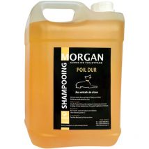 Shampooing poils durs : 5L