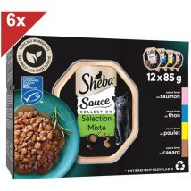 72 Barquettes Sauce Collection Sélection mixte Sauce Lover 85g (6x12) - Sheba
