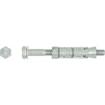 Rawlplug Shield Anchor Loose Bolt, M10 50L