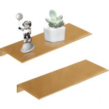 2 Pièces Tablette Murale avec Vis,Tablettes Flottantes en Space Aluminum,Tablette Flottante Murale Or pour Salle de