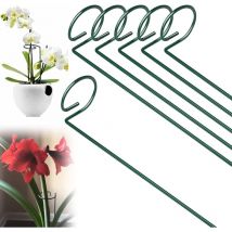 SHINING HOUSELot de 6 piquets de support en métal pour cage de plantes - Tige unique - 40 cm - Pour tomates, pivoines, lys, roses et fleurs