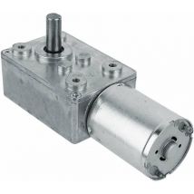 Moteur Électrique de Réduction Réversible à Couple Élevé Boîte de Vitesses Motoréducteur à Engrenage à Vis sans Fin 12V 60RPM Argent,