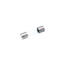Sicherung Fast 250ma 250vac 5x20mm Cristal