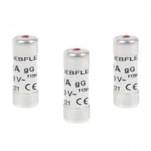 Sicherungen mit Kontrollleuchte: 16 Ampere (3 Stück)