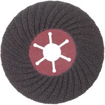 Disque semi-flexible sidaflex D.125 x 22,23 c 100 carbure Sidamo 10802006