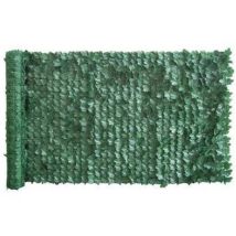 Siepe sempreverde edera serie plus
