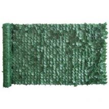 Stars - siepe sempreverde edera serie plus