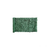 Siepe sempreverde edera serie plus