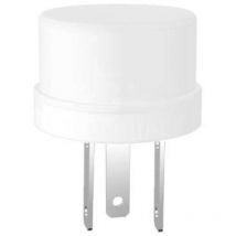 Signal Construct LE18214 LED mehrfarbig Rot, Grün 24 V/DC Bulk