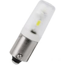 MBQB320364 LED-Signalleuchte Weiß BA9s 60 lm - Signal Construct