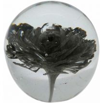Signes Grimalt Cadeau Pisapapel Pisapapèles avec Pisapapèles Black 8x8x8cm 27919