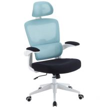 Silla Gaming Woxter Ergo/ Azul