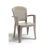 Scab tórtola súper elegante Scab