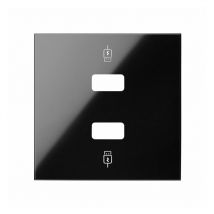 100 - Cache chargeur usb 2 ports 10001096-138 - Simon