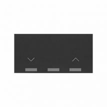 100 Clé pour interrupteur obturateur noir mat 10001080-238 - Simon